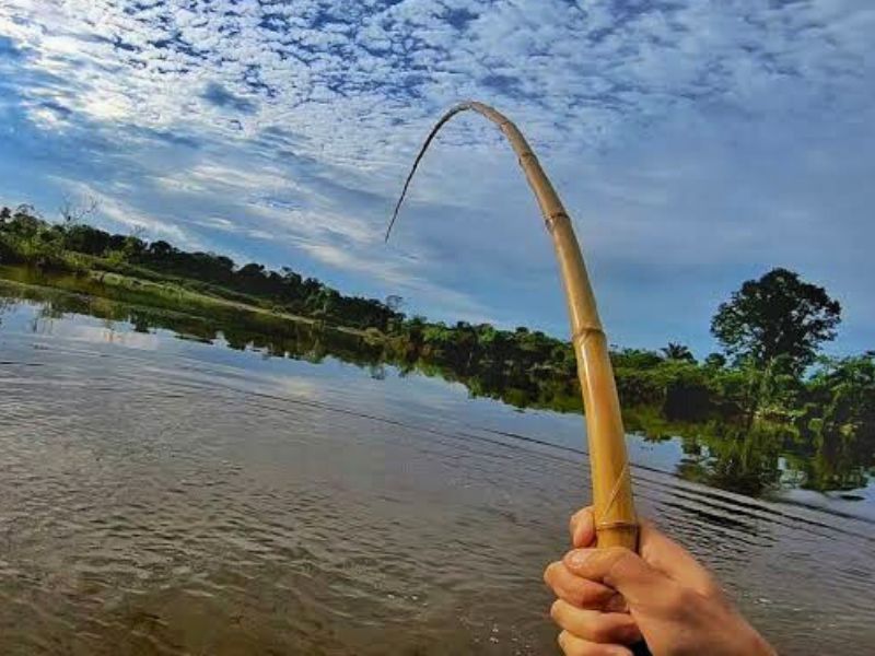 Técnicas de Pesca Bushcraft - vara de pesca