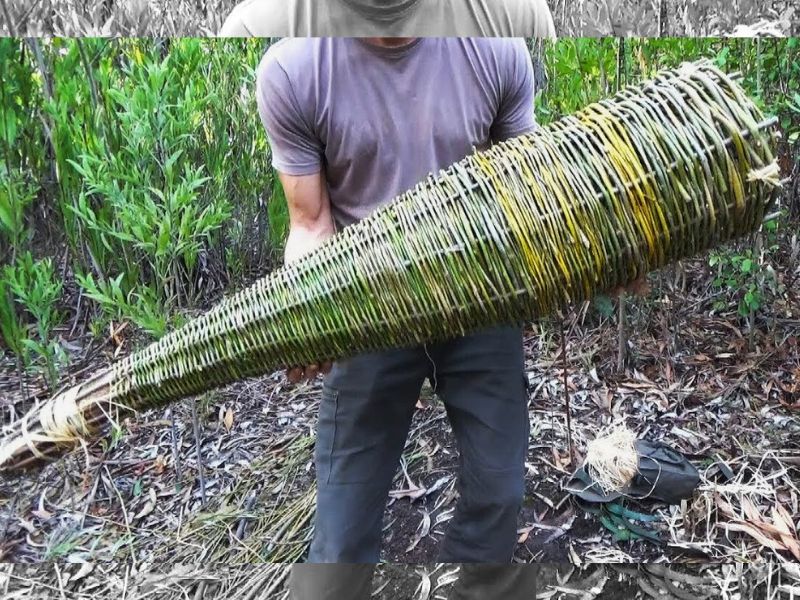 Técnicas de Pesca Bushcraft - balaio de cipó