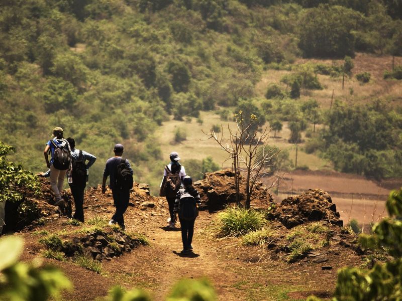 Grupo em Caminhada em Trilha