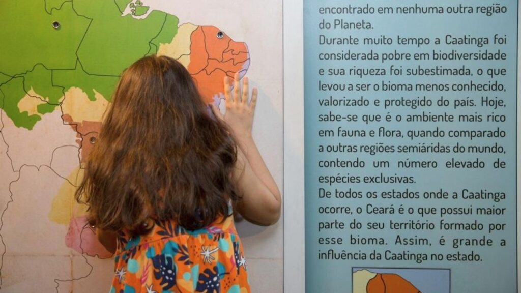 Mapa com os biomas brasileiros e com eles a caatinga