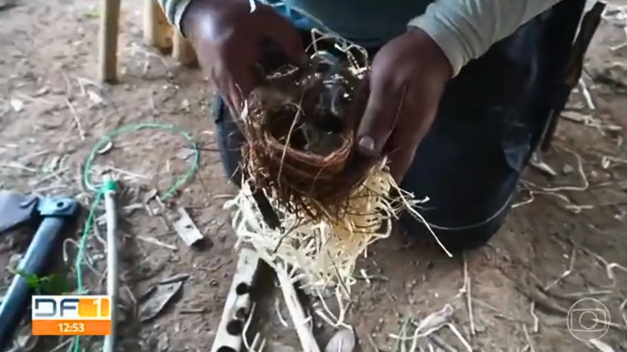 Bushcraft na Veia [Reportagem]