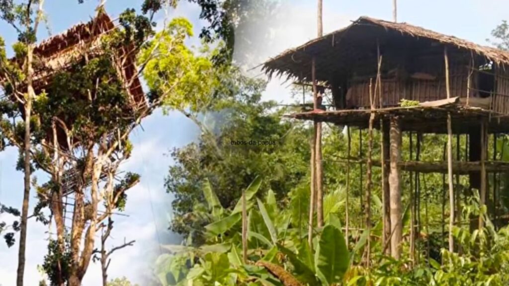 Casas das tribos de Papua em Nova Guiné