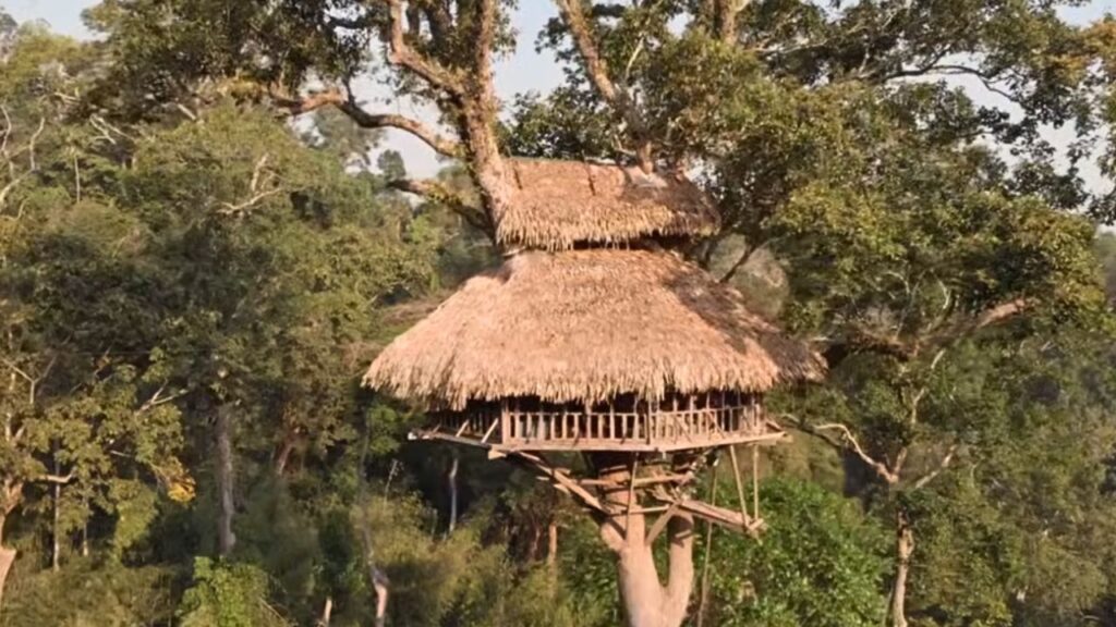 Casa da árvore das Tribos da Papua