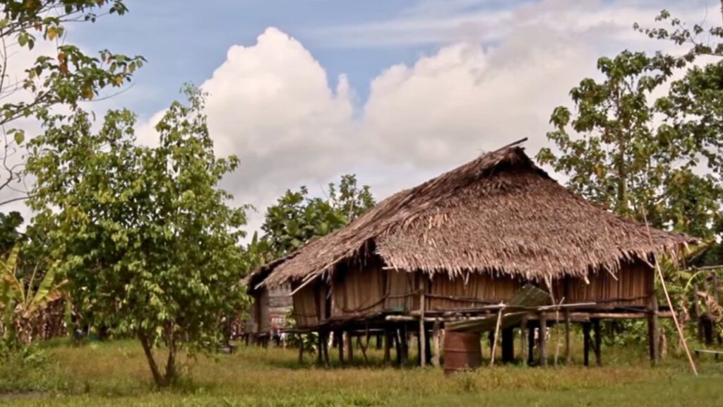 Habitação Mek das tribos da Papua