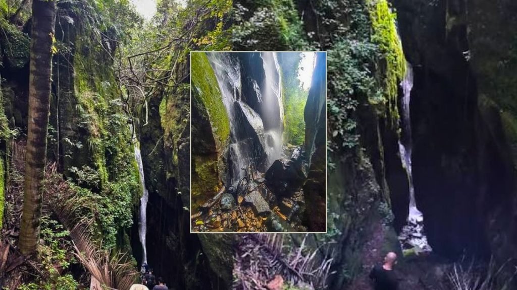 Cachoeira de Janeiro